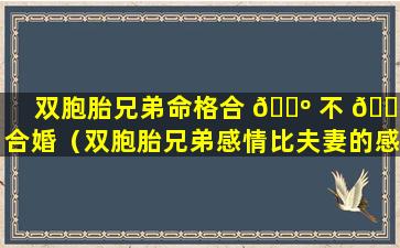 双胞胎兄弟命格合 🌺 不 🌲 合婚（双胞胎兄弟感情比夫妻的感情还要深）